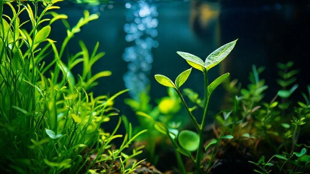 7 Passos Essenciais: Como Resolver Deficiência em Plantas Rápidas para Crescimento Saudável?